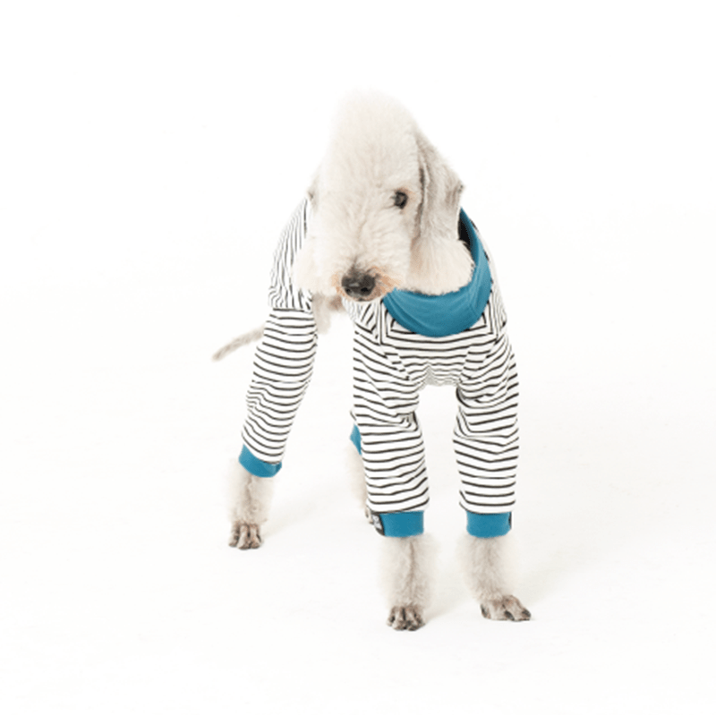 Dog Onesies Stripe Cotton Bedlington Dog Clothes - PIKAPIKA