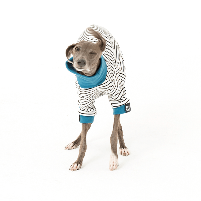 Dog Onesies Stripe Cotton Italian Greyhound Clothes - PIKAPIKA