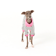 Dog Onesies Stripe Cotton Italian Greyhound Clothes - PIKAPIKA