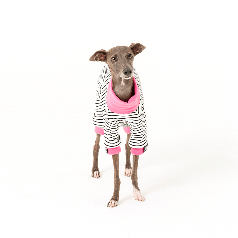 Dog Onesies Stripe Cotton Italian Greyhound Clothes - PIKAPIKA