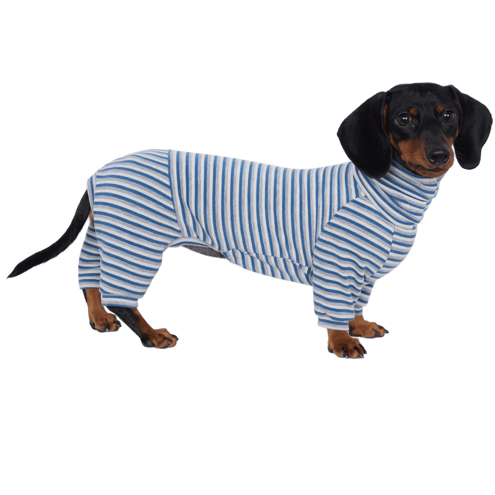 Dog Onesies Stripe Spandex Dachshund Clothes - PIKAPIKA