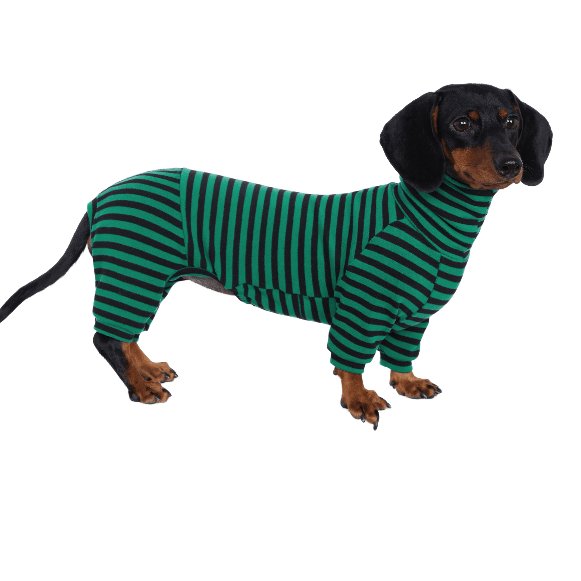 Dog Onesies Stripe Spandex Dachshund Clothes - PIKAPIKA