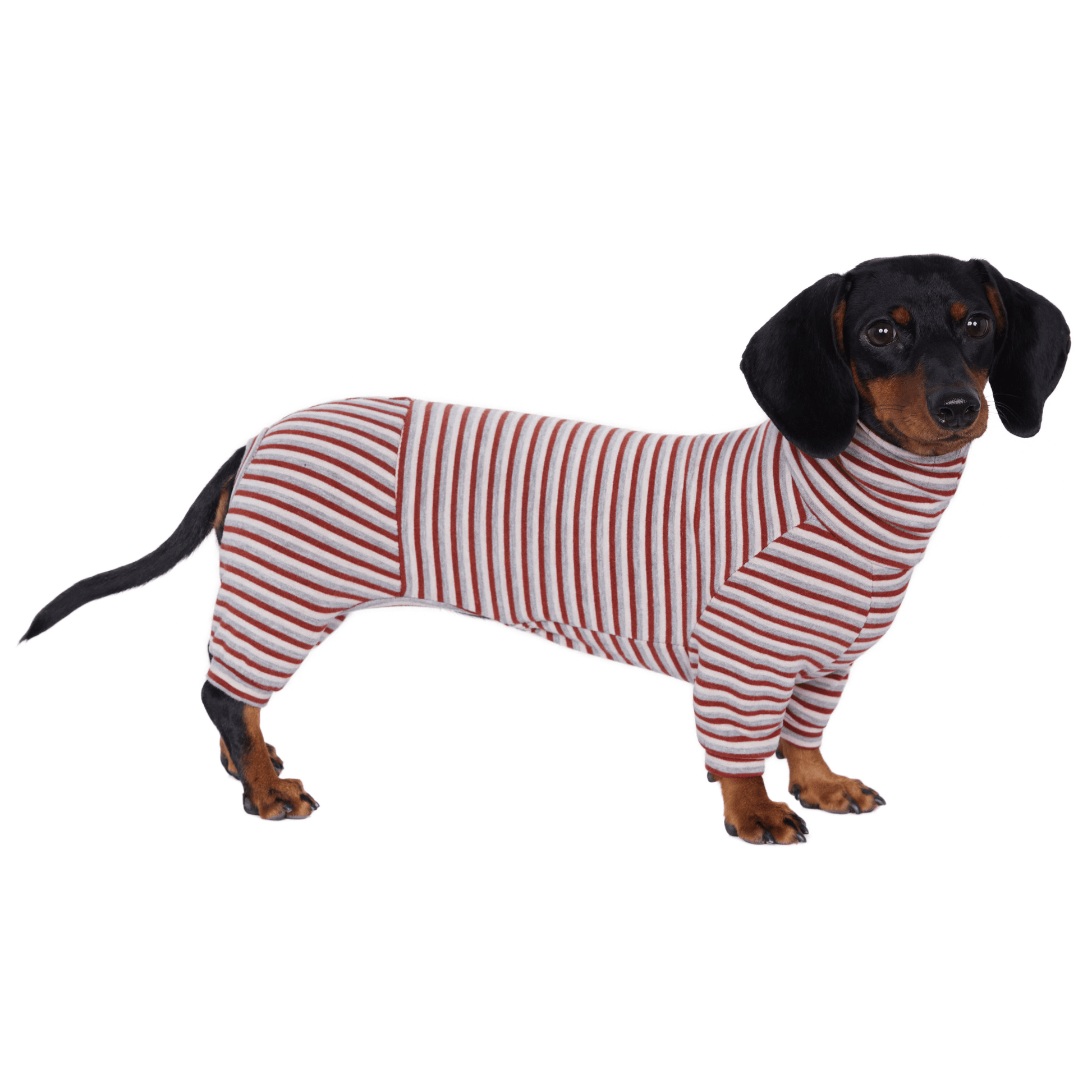 Dog Onesies Stripe Spandex Dachshund Clothes - PIKAPIKA
