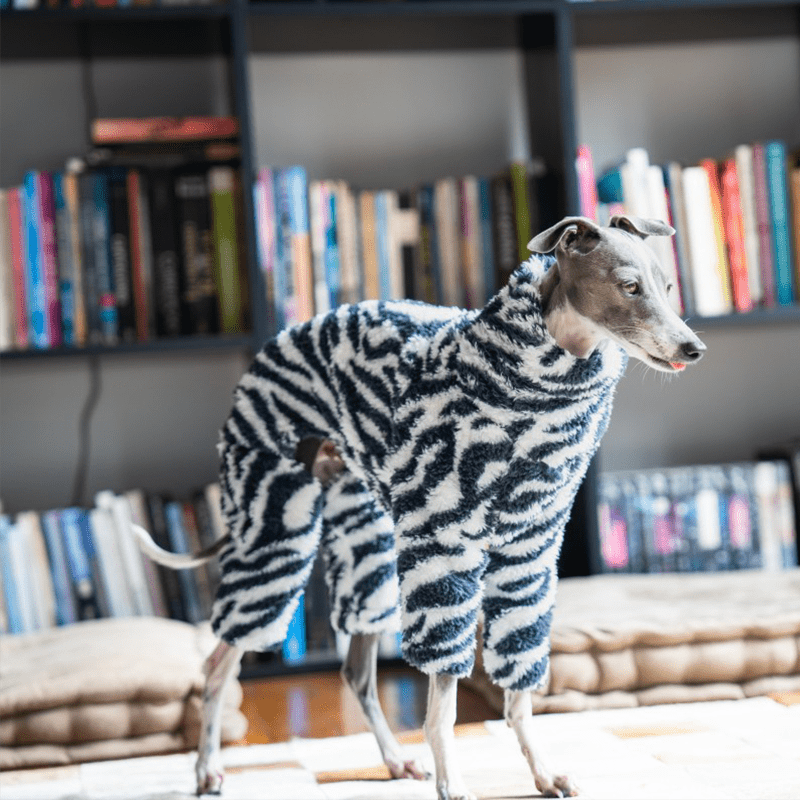 Dog Onesies Zebra Pattern for Italian Greyhound Whippet Clothes - PIKAPIKA