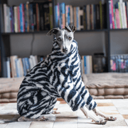 Dog Onesies Zebra Pattern for Italian Greyhound Whippet Clothes - PIKAPIKA