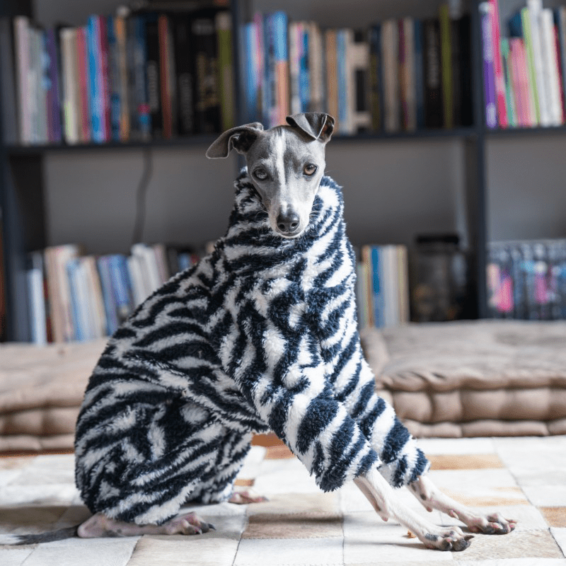 Dog Onesies Zebra Pattern for Italian Greyhound Whippet Clothes - PIKAPIKA