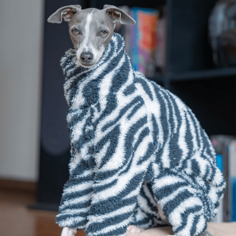 Dog Onesies Zebra Pattern for Italian Greyhound Whippet Clothes - PIKAPIKA