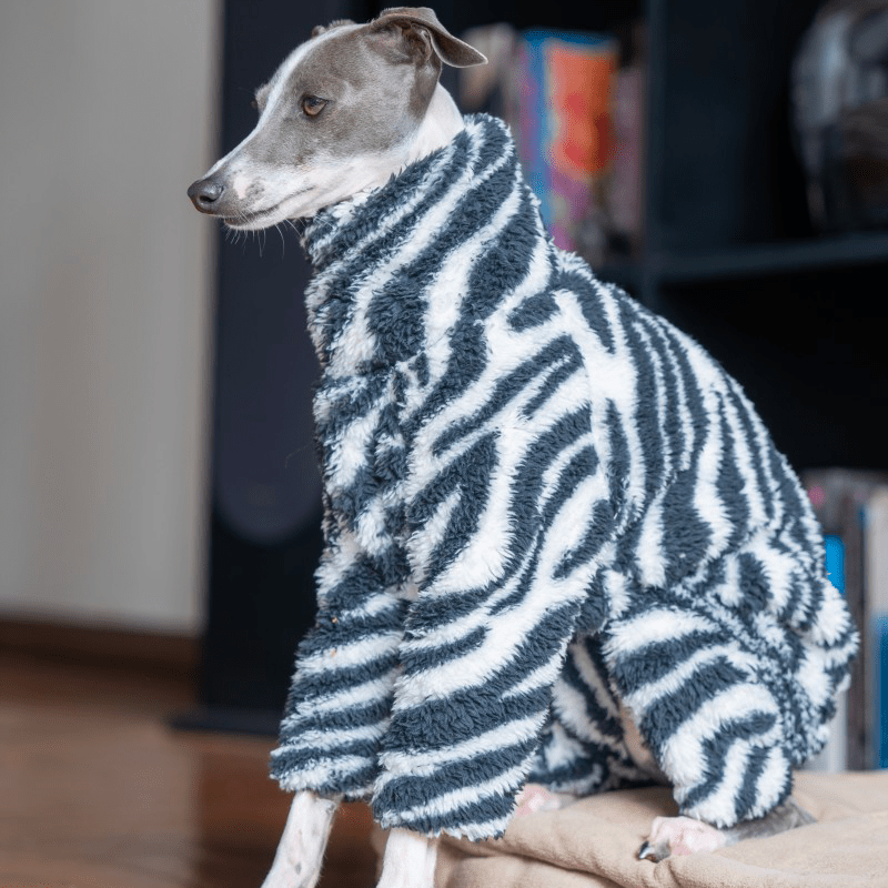 Dog Onesies Zebra Pattern for Italian Greyhound Whippet Clothes - PIKAPIKA