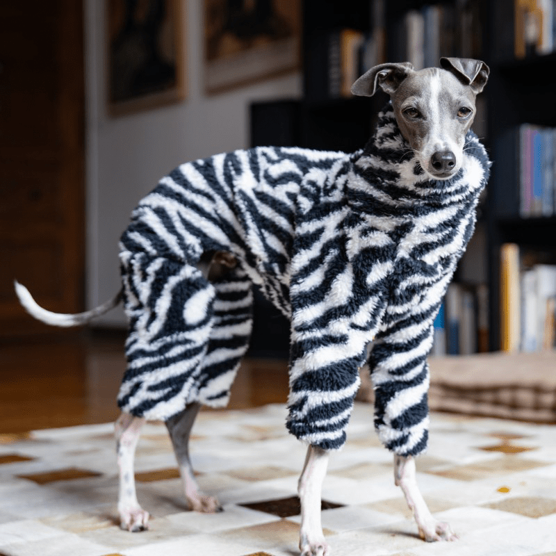 Dog Onesies Zebra Pattern for Italian Greyhound Whippet Clothes - PIKAPIKA