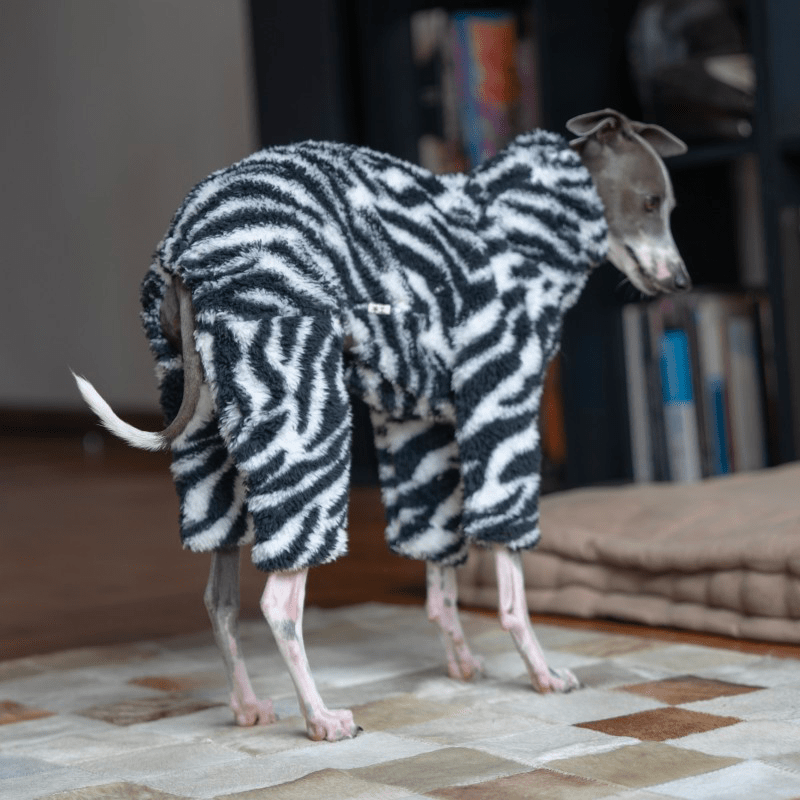 Dog Onesies Zebra Pattern for Italian Greyhound Whippet Clothes - PIKAPIKA