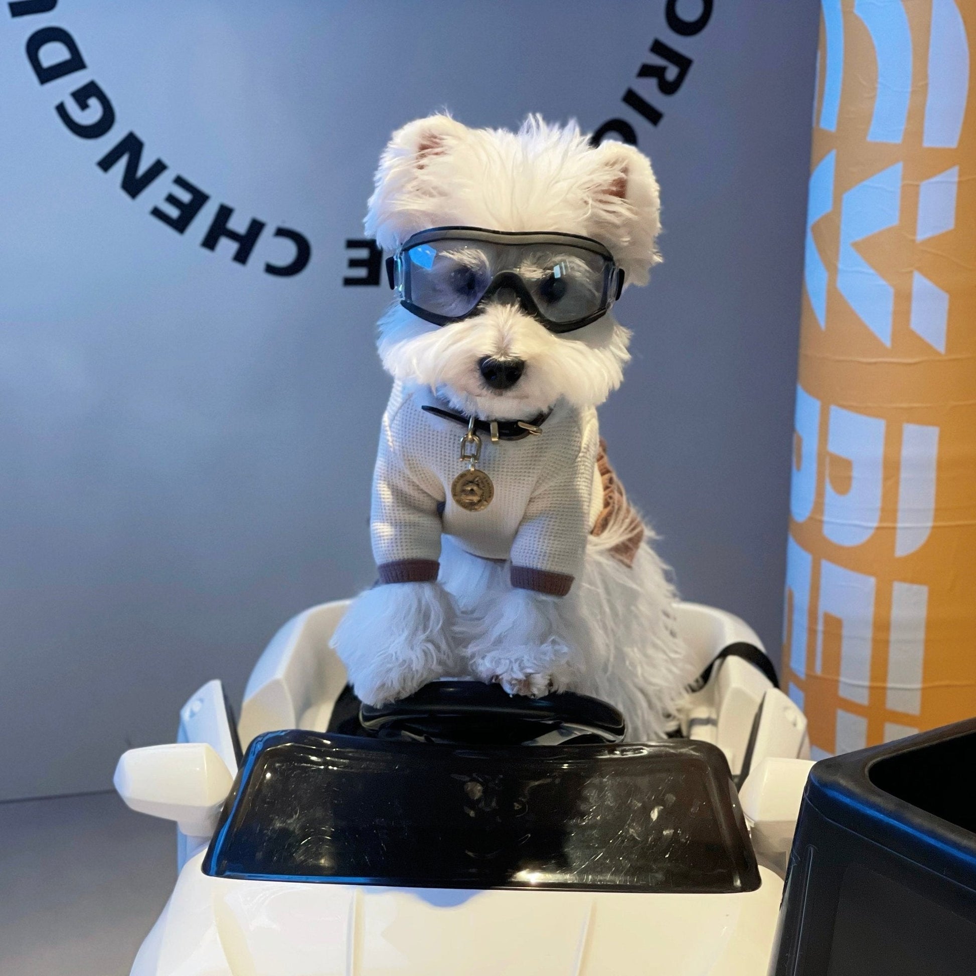 Dog Outdoor Goggles Sunglasses Windproof - PIKAPIKA