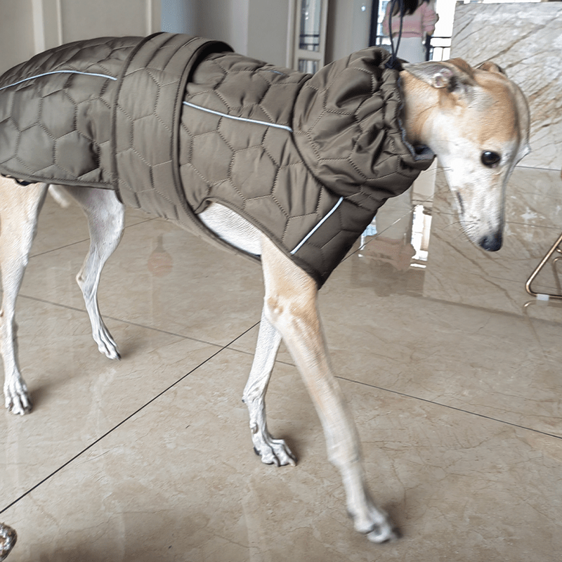 Dog Padded Vest Snowsuits Outdoor Clothes For Italian Greyhound Whippet - PIKAPIKA