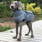 Dog Padded Vest Snowsuits Outdoor Clothes For Italian Greyhound Whippet - PIKAPIKA