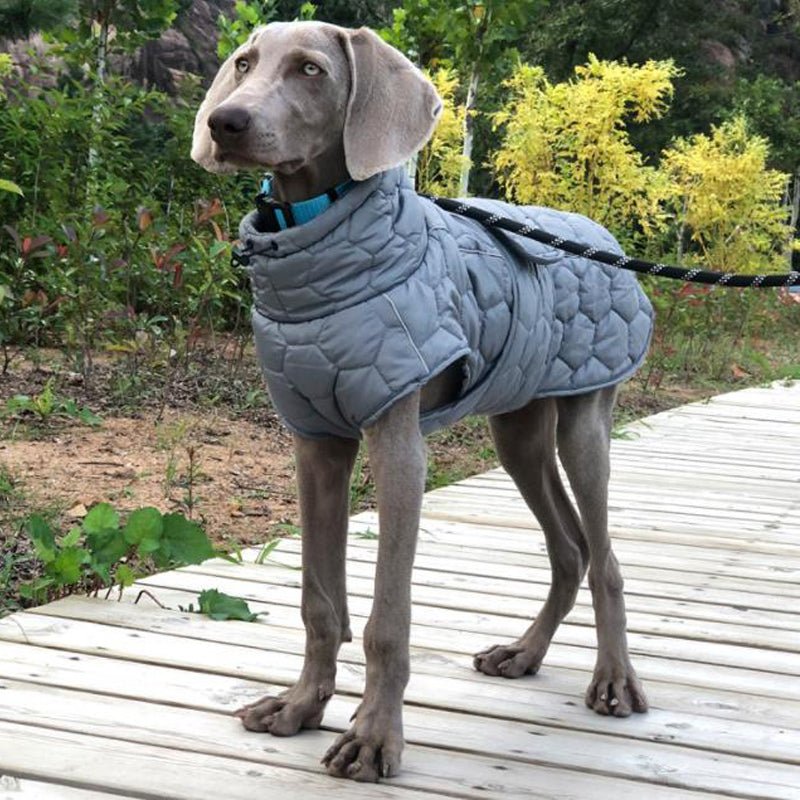 Dog Padded Vest Snowsuits Outdoor Clothes For Italian Greyhound Whippet - PIKAPIKA