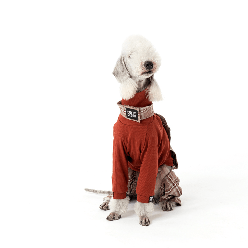 Dog Pants Onesies Clothes for Bedlington - PIKAPIKA