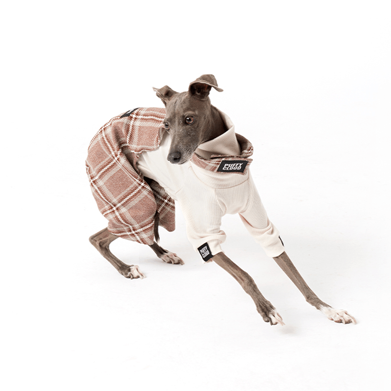 Dog Pants Onesies Clothes for Italian Greyhound Whippet - PIKAPIKA