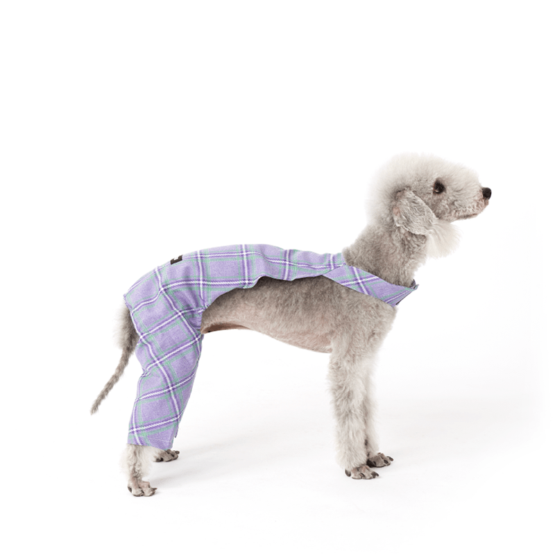 Dog Pants Onesies Clothes for Italian Greyhound Whippet - PIKAPIKA