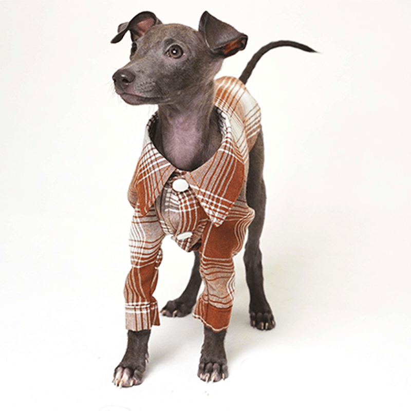Dog Plaid Shirt Cotton for Italian greyhound Whippet Clothes - PIKAPIKA
