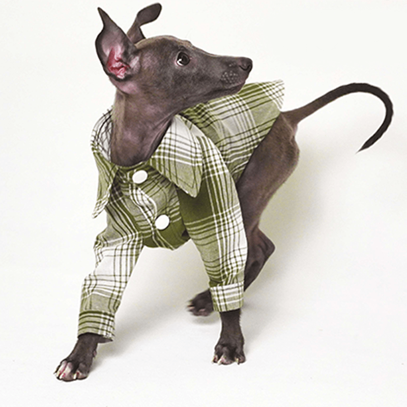 Dog Plaid Shirt Cotton for Italian greyhound Whippet Clothes - PIKAPIKA