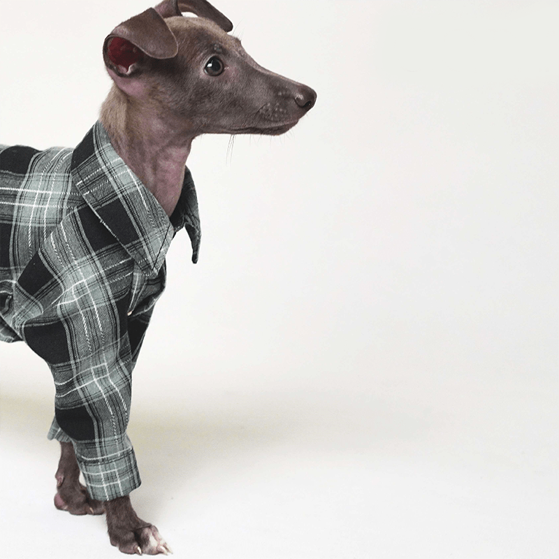 Dog Plaid Shirt Cotton for Italian greyhound Whippet Clothes - PIKAPIKA