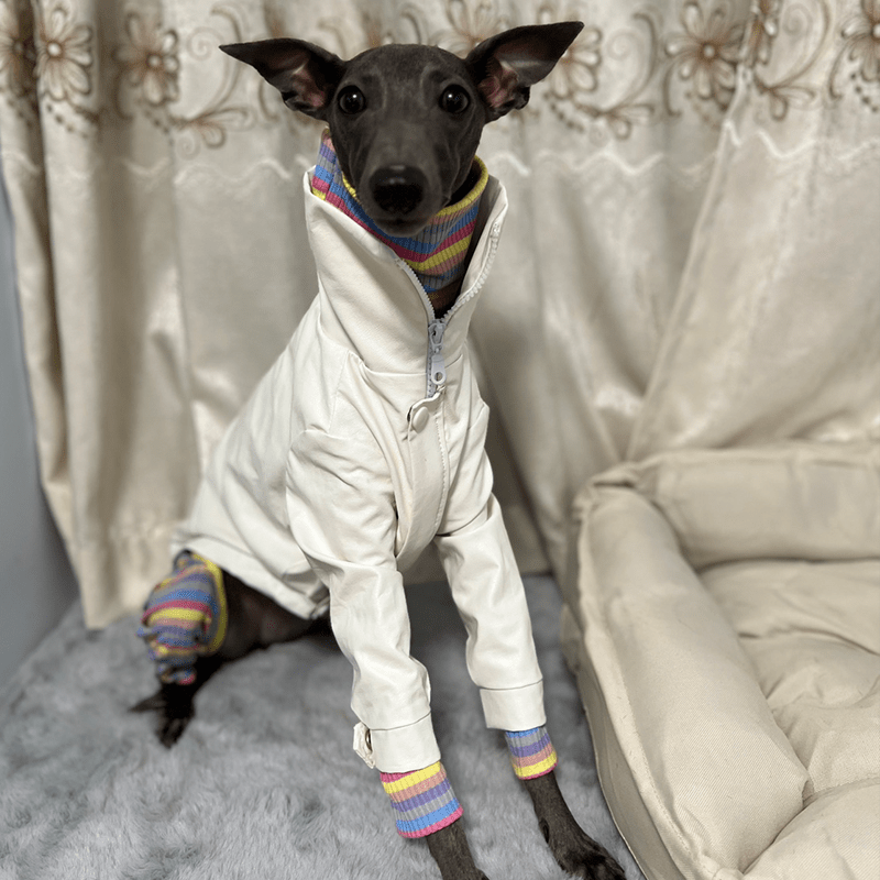 Dog PU Jacket Zip for Italian Greyhound Whippet Clothes - PIKAPIKA