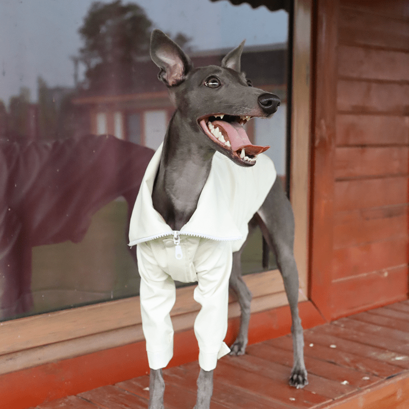 Dog PU Jacket Zip for Italian Greyhound Whippet Clothes - PIKAPIKA