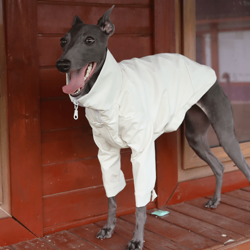 Dog PU Jacket Zip for Italian Greyhound Whippet Clothes - PIKAPIKA