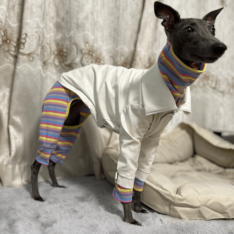 Dog PU Jacket Zip for Italian Greyhound Whippet Clothes - PIKAPIKA