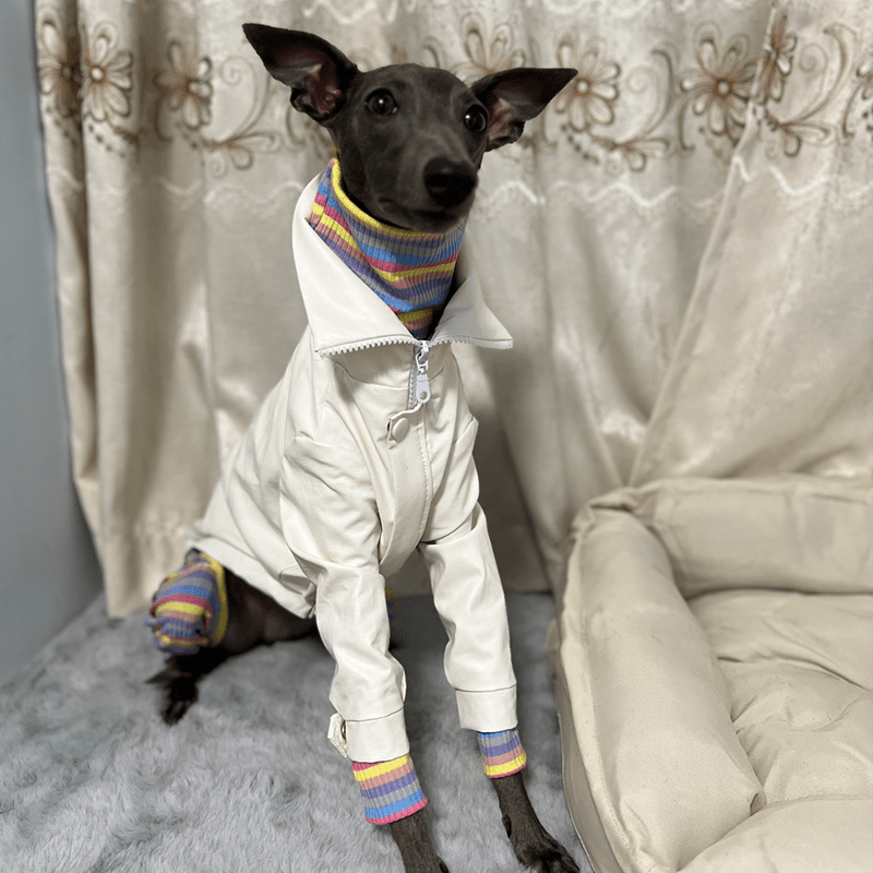 Dog PU Jacket Zip for Italian Greyhound Whippet Clothes - PIKAPIKA