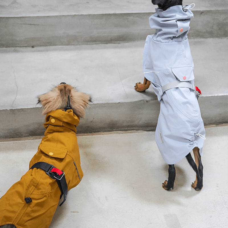Dog Raincoat Outdoor Jacket Waterproof Detachable Italian greyhound Whippet Dachshund Fit - PIKAPIKA
