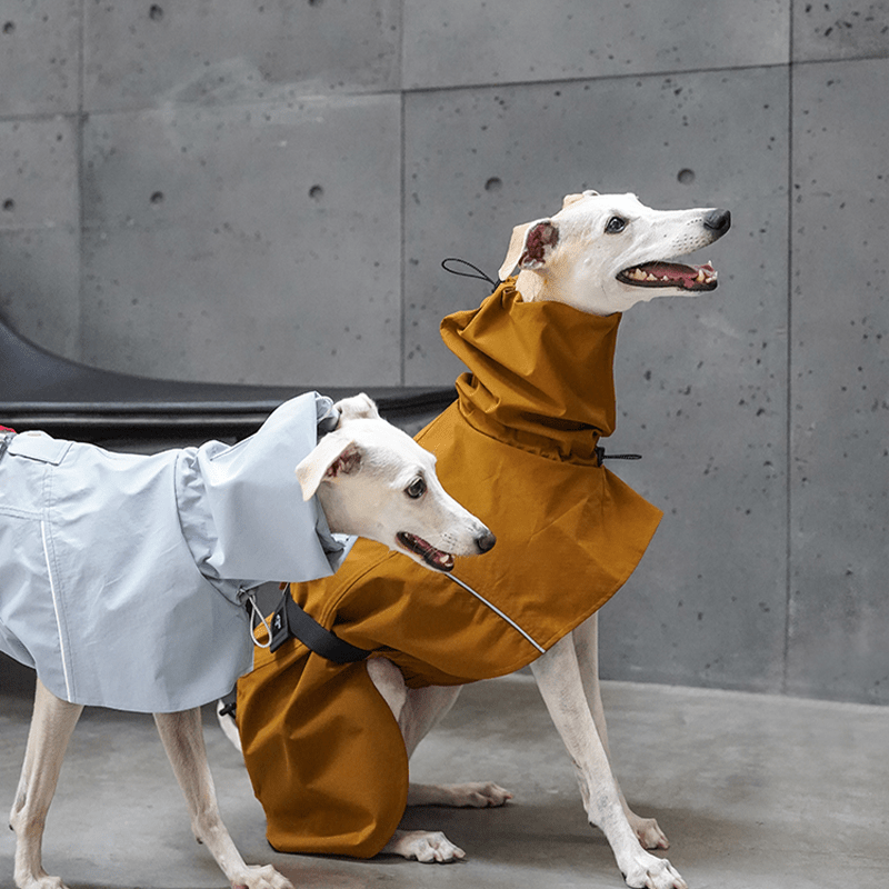 Dog Raincoat Outdoor Jacket Waterproof Detachable Italian greyhound Whippet Dachshund Fit - PIKAPIKA