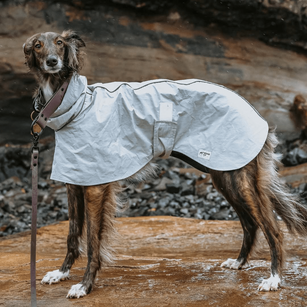 Dog Raincoat Outdoor Jacket Waterproof Detachable Italian greyhound Whippet Dachshund Fit - PIKAPIKA