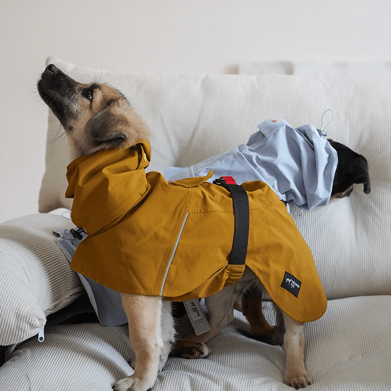 Dog Raincoat Outdoor Jacket Waterproof Detachable Italian greyhound Whippet Dachshund Fit - PIKAPIKA