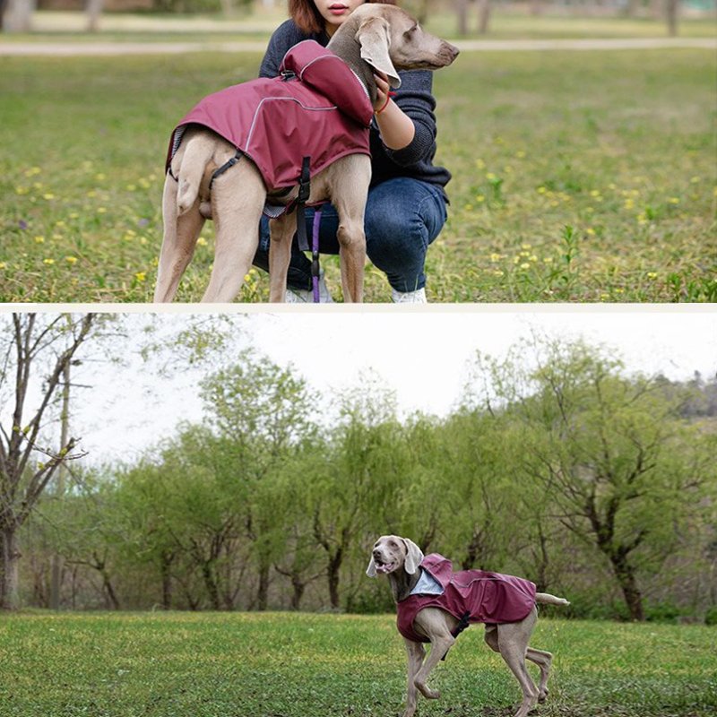 Dog Raincoat Waterproof Jacket - PIKAPIKA