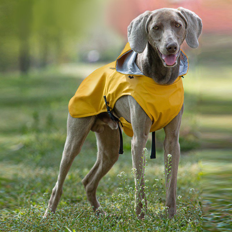 Dog Raincoat Waterproof Jacket - PIKAPIKA