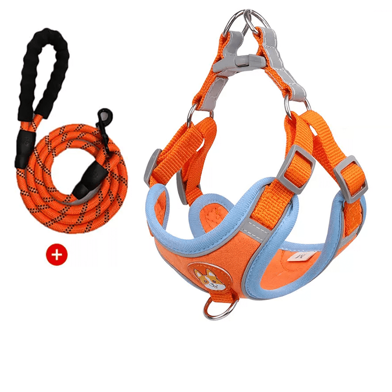 Dog Reflective Leashes and Harnesses Set Outdoor Wear - PIKAPIKA