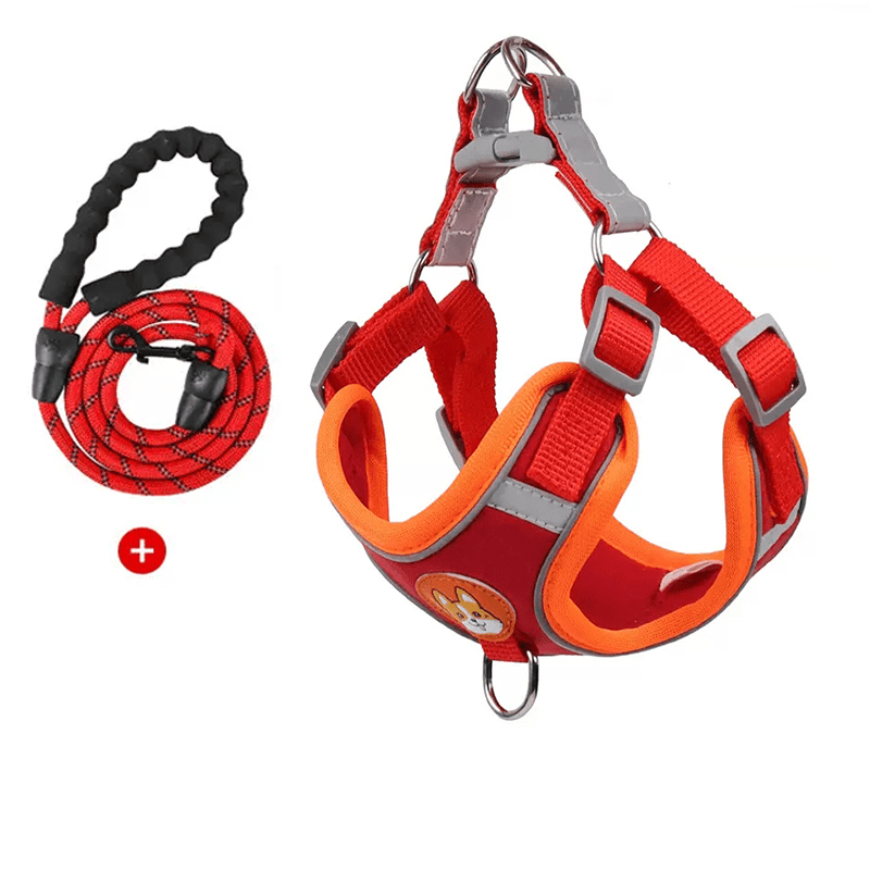 Dog Reflective Leashes and Harnesses Set Outdoor Wear - PIKAPIKA