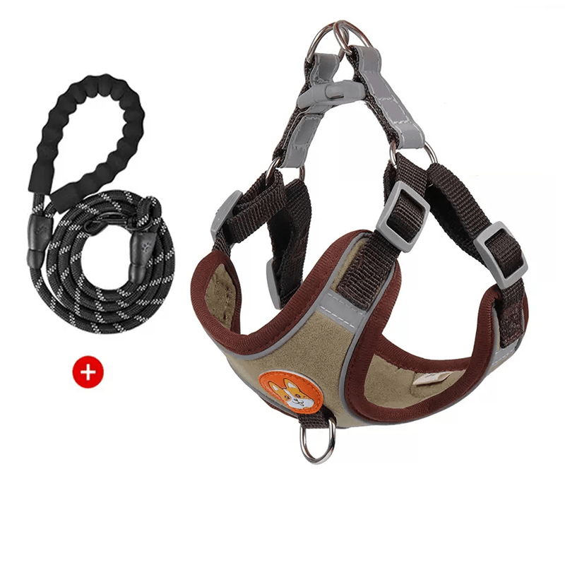Dog Reflective Leashes and Harnesses Set Outdoor Wear - PIKAPIKA