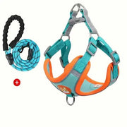 Dog Reflective Leashes and Harnesses Set Outdoor Wear - PIKAPIKA