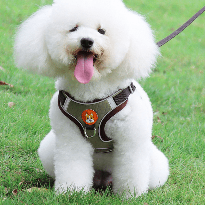 Dog Reflective Leashes and Harnesses Set Outdoor Wear - PIKAPIKA