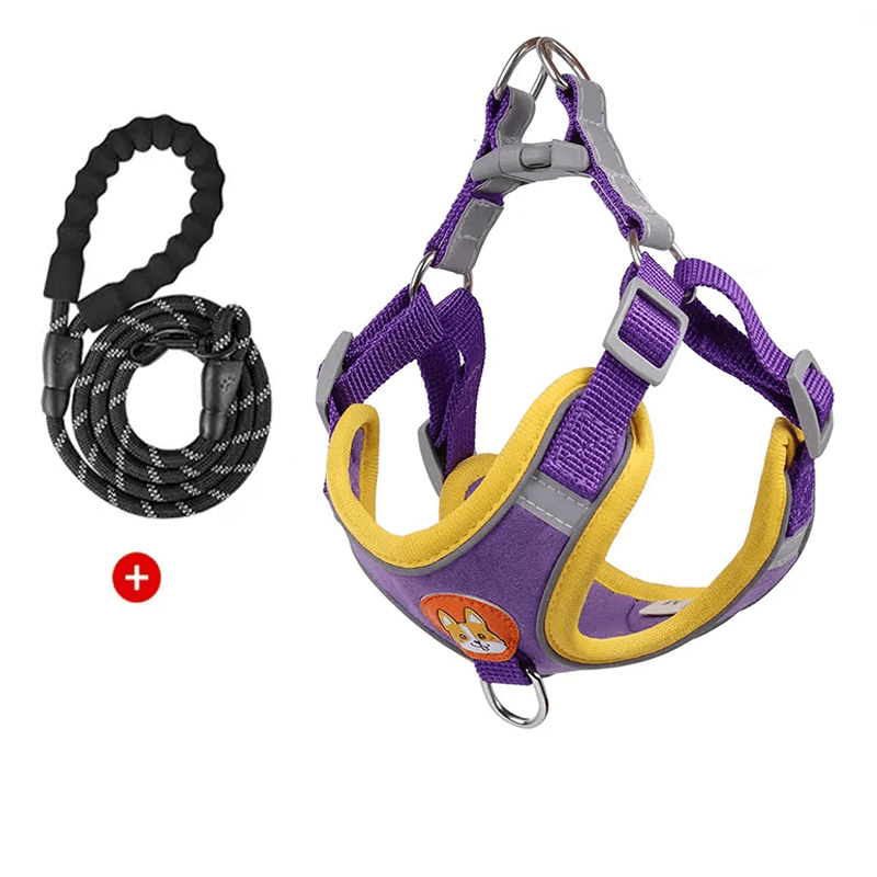 Dog Reflective Leashes and Harnesses Set Outdoor Wear - PIKAPIKA