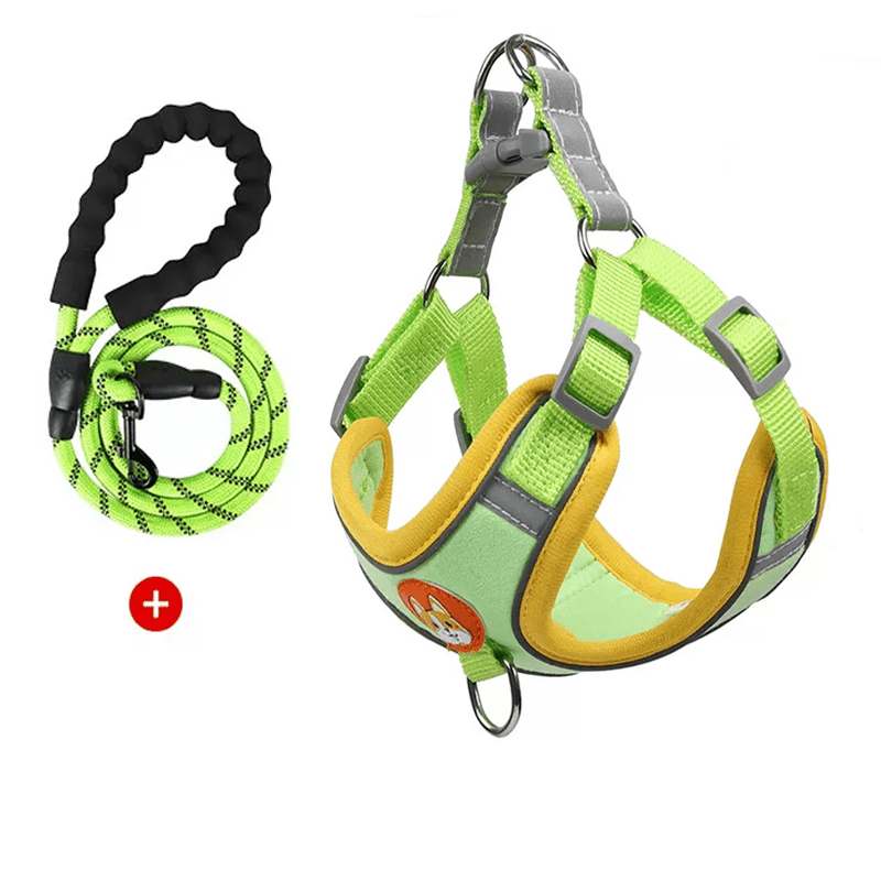 Dog Reflective Leashes and Harnesses Set Outdoor Wear - PIKAPIKA