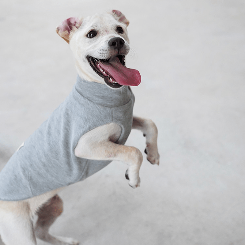 Dog Shirts Casual Tank Top for Italian Greyhound Whippet Clothes - PIKAPIKA