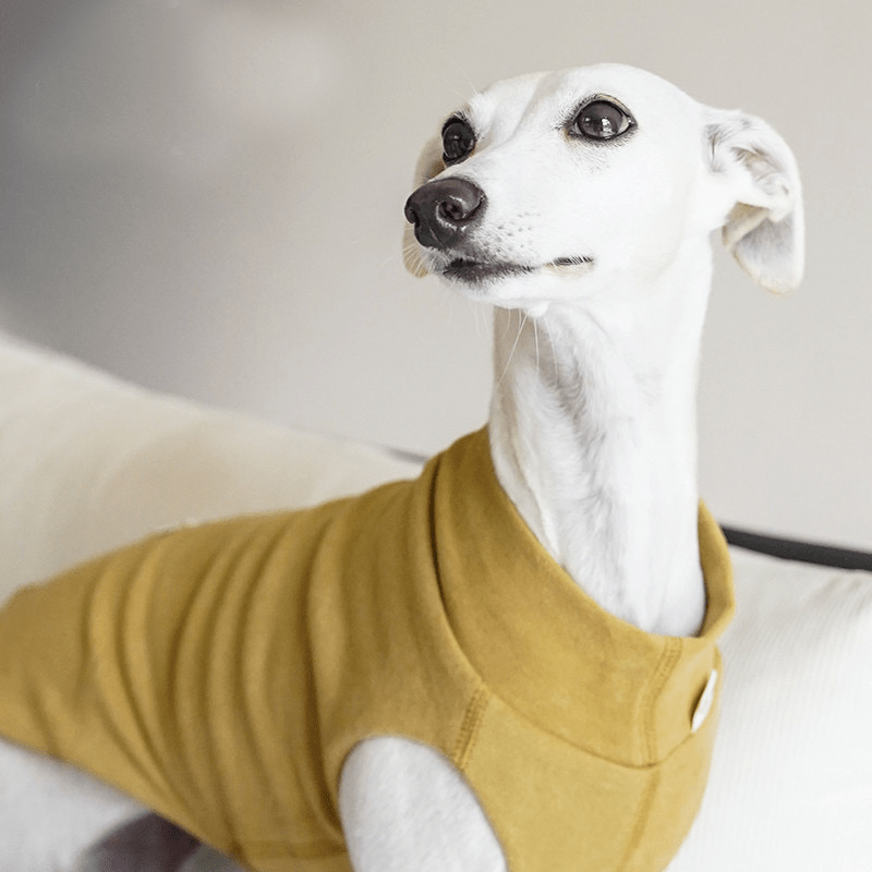 Dog Shirts Casual Tank Top for Italian Greyhound Whippet Clothes - PIKAPIKA