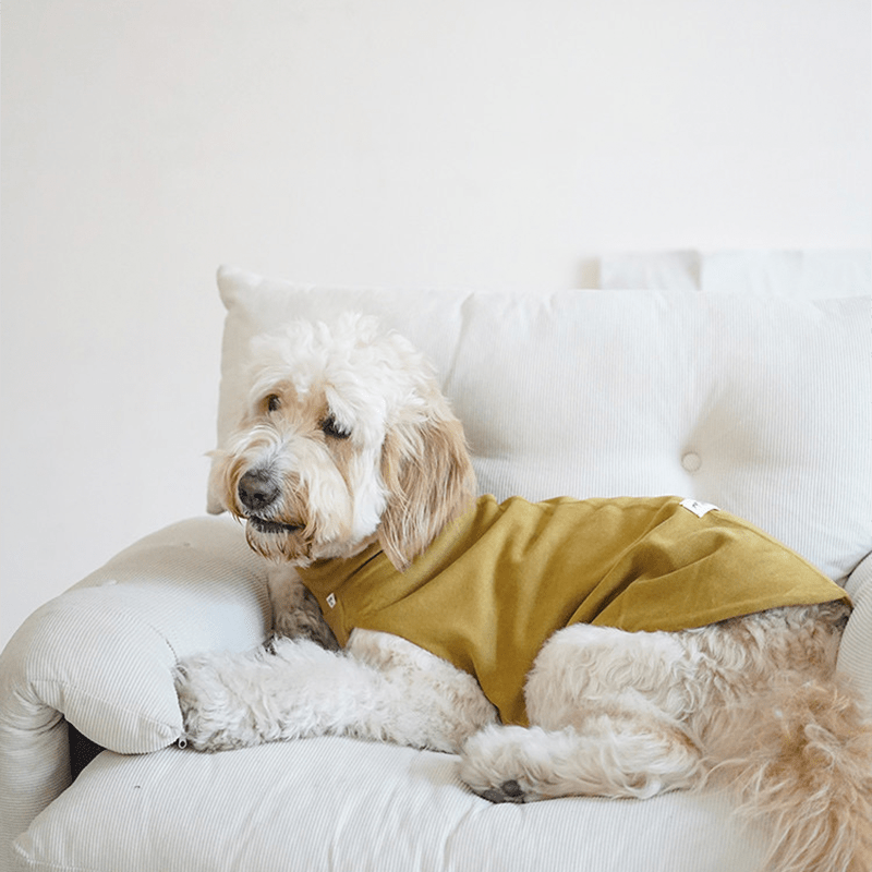 Dog Shirts Casual Tank Top for Italian Greyhound Whippet Clothes - PIKAPIKA