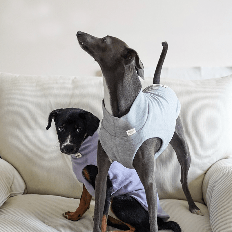 Dog Shirts Casual Tank Top for Italian Greyhound Whippet Clothes - PIKAPIKA