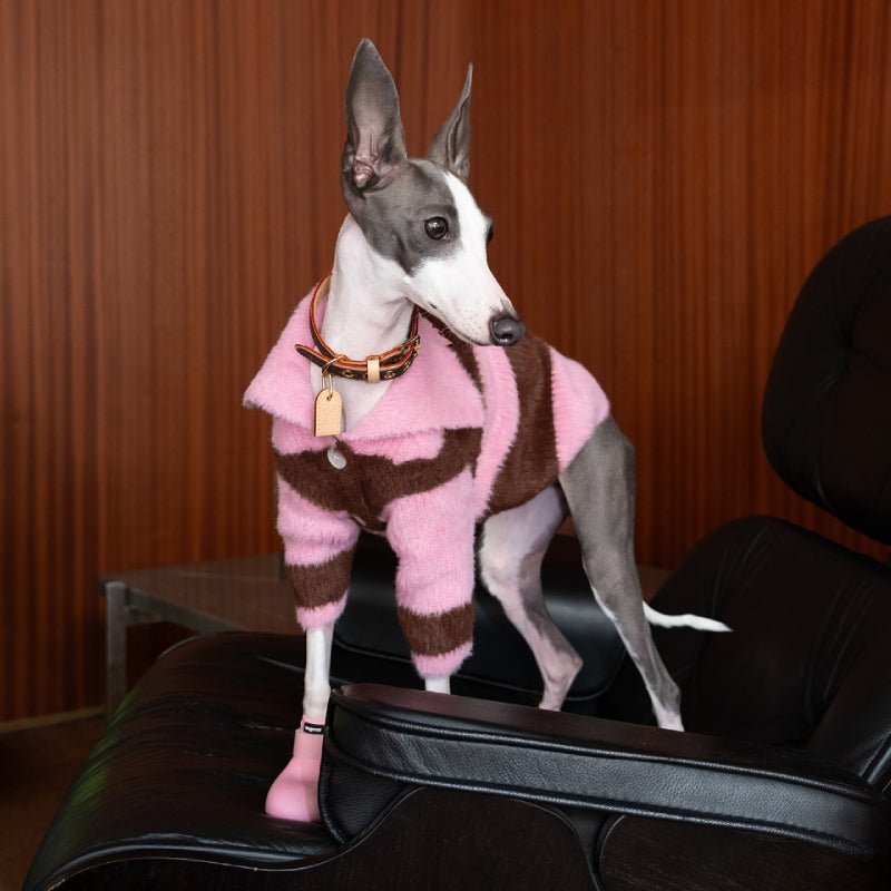 Dog Soft Turtleneck Sweater Knitwear Clothing Cardigan for Greyhound Whippet iggy - PIKAPIKA