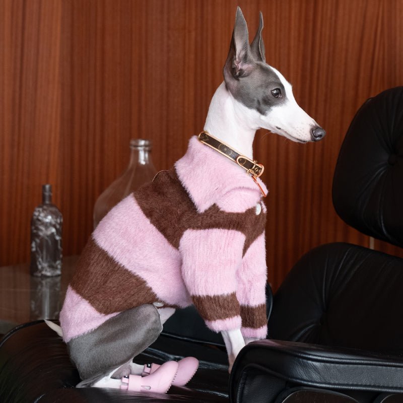 Dog Soft Turtleneck Sweater Knitwear Clothing Cardigan for Greyhound Whippet iggy - PIKAPIKA