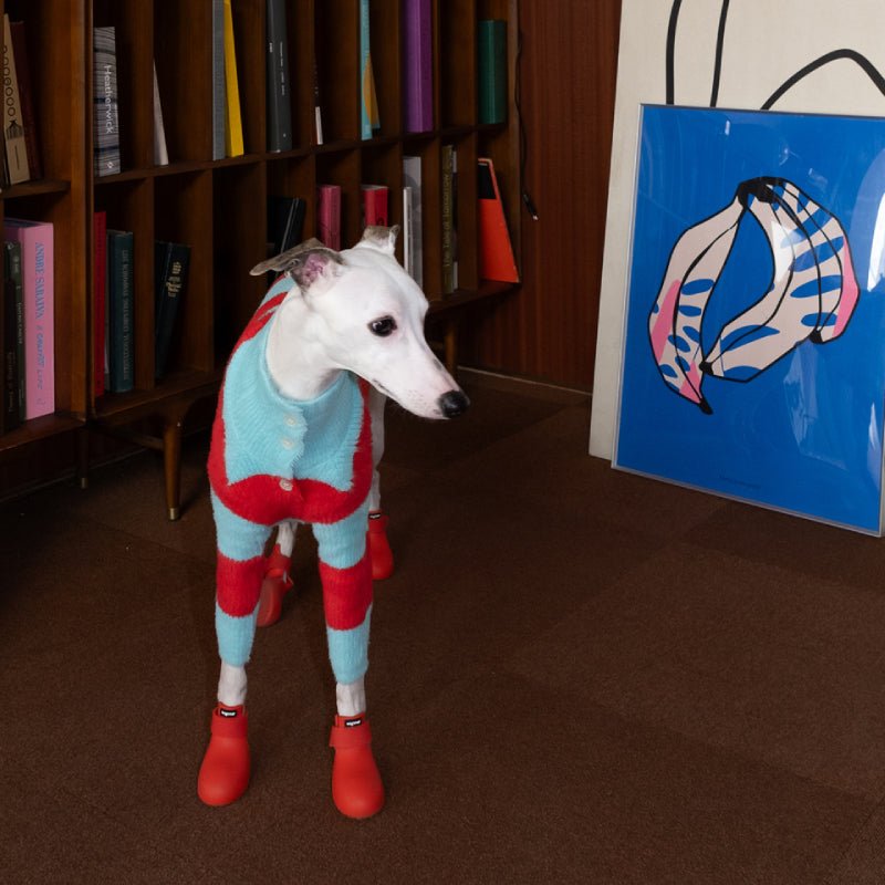 Dog Soft Turtleneck Sweater Knitwear Clothing Cardigan for Greyhound Whippet iggy - PIKAPIKA