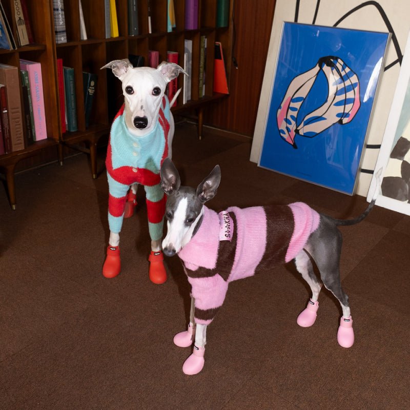 Dog Soft Turtleneck Sweater Knitwear Clothing Cardigan for Greyhound Whippet iggy - PIKAPIKA